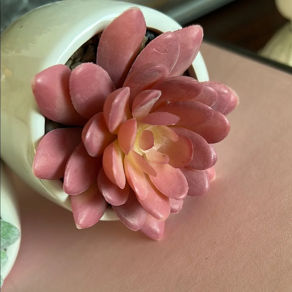 Feminine Face Planters with faux Succulents in pink and green set of two